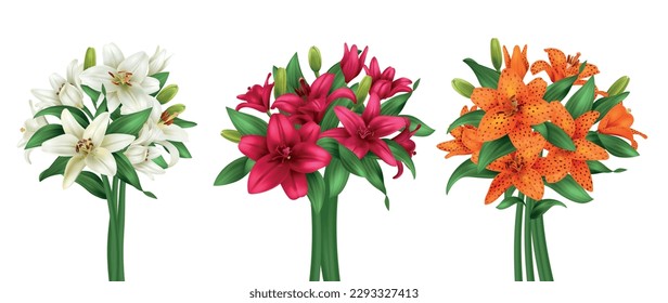 Realistic lily bouquet set with multicolored flowers isolated vector illustration