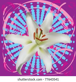 Realistic lily flower placed on purple and pink grunge style background