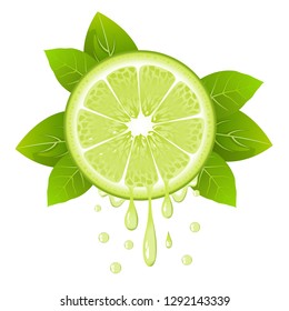 Realistic lime slice with leaves and drops of juice. Juicy fruit. Fresh citrus design on white background vector illustration