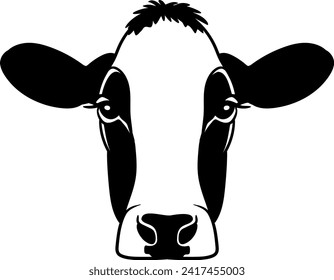 Realistic line art vector black and white illustration of head of holstein breed dairy cow without horns closeup front view ready for printing	