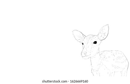 奈良 鹿 のイラスト素材 画像 ベクター画像 Shutterstock