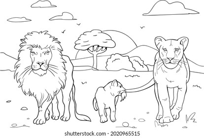 Realistic Lion Coloring Pages. A family of lions.