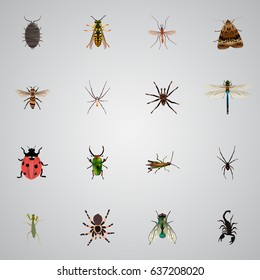 Realistic Locust, Bee, Housefly And Other Vector Elements. Set Of Bug Realistic Symbols Also Includes Ladybird, Bug, Spider Objects.