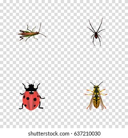 Realistic Locust, Bee, Ladybird And Other Vector Elements. Set Of Animal Realistic Symbols Also Includes Bee, Locust, Grasshopper Objects.