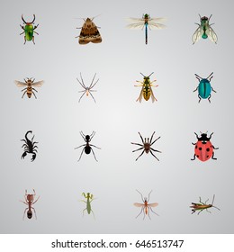 Realistic Locust, Butterfly, Wisp And Other Vector Elements. Set Of Bug Realistic Symbols Also Includes Mosquito, Green, Fly Objects.