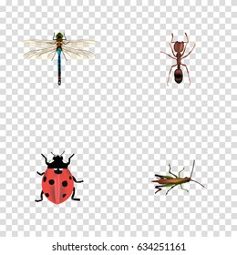 Realistic Locust, Emmet, Ladybird And Other Vector Elements. Set Of Animal Realistic Symbols Also Includes Pismire, Insect, Locust Objects.