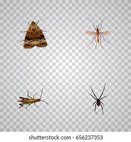 Realistic Locust, Gnat, Spinner And Other Vector Elements. Set Of Insect Realistic Symbols Also Includes Mosquito, Fly, Spinner Objects.