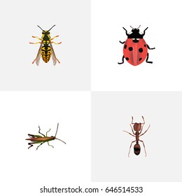 Realistic Locust, Ladybird, Emmet And Other Vector Elements. Set Of Insect Realistic Symbols Also Includes Ant, Emmet, Grasshopper Objects.