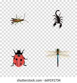 Realistic Locust, Poisonous, Damselfly And Other Vector Elements. Set Of Bug Realistic Symbols Also Includes Dragonfly, Ladybird, Ladybug Objects.