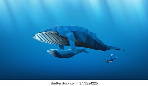 realistic low poly 3D perspective of group Humpback Whales family plays swim near the surface in pacific Ocean sea blue water background and under the reflected beam for vector illustration