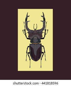 Realistic Lucanus cervus vector illustration