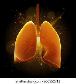 Realistic lungs, healthcare illustration, vector