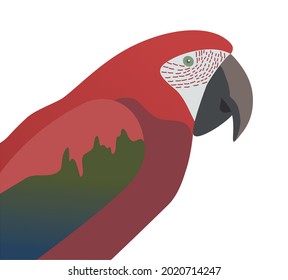 Realistic Macaw Cartoon Vector Illustration. Pet drawing. Bird animal. Cute cartoon vector. Logo design. Vector illustration isolate.