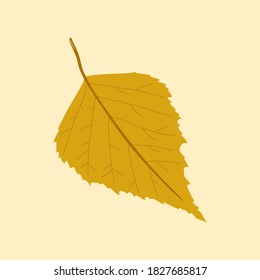 Realistic macro autumn yellow birch leaf on a light yellow background vector illustration