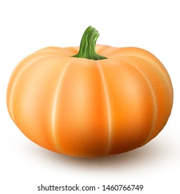 Realistic macro orange pumpkin isolated on white background. EPS 10