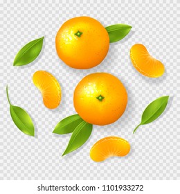 Realistic mandarin isolated on transparent background. Top view on whole mandarins, leaves and pieces. Vector illustration.