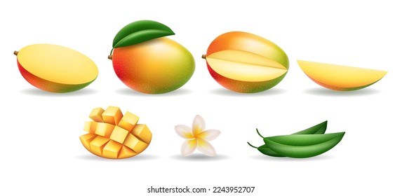 Realistic mango elements. Whole cube pieces slices flower leaves of mangos isolated, perfect juicy fresh mangoes fruit parts with shadow vector illustration