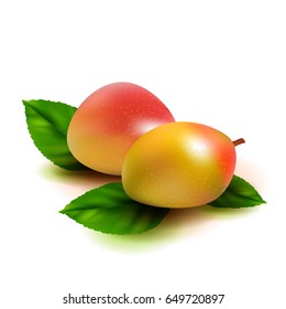 Realistic mango fruit with leaves isolated on white background. Vector illustration.