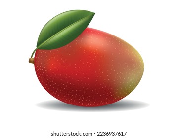 Realistic mango fruit. Red yellow 3d mangos bar, exotic mangoes apple vector illustration, fresh fruitage harvest color vector image