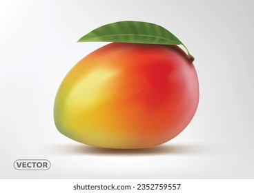 REALISTISCHE MANGO ILLUSTRATION. VEKTOREPS