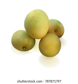 Realistic mango set on white background, mesh vector illustration.