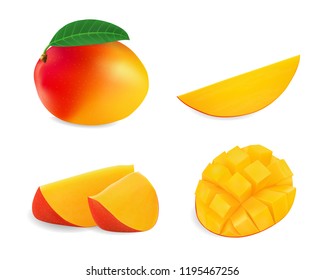 Realistic mango vector set, design for culinary products, seasoning packages, recipe websites, cooking books etc