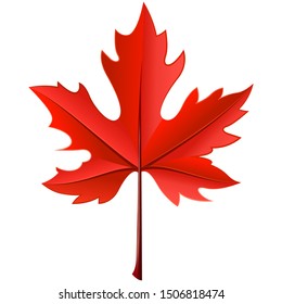 Realistic maple yellow leaf on a white background.