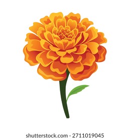 Realistische Ringelblume Blumenvektor mit geschichteten Blütenblättern und grünen Blättern