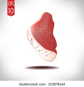 realistic meat of pork on a white background