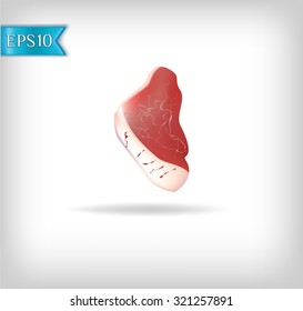 realistic meat of pork on a white background