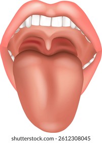 Realistic medical-style illustration of an open human mouth with a visible tongue and teeth. The image clearly depicts the oral cavity, uvula, and surrounding anatomical structures. 