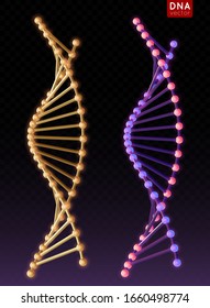 Realistic metal Vector DNA structure molecule helix, spiral on blure background. Medical science, chemistry biology, genetic biotechnology. Corona virus