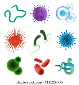 Realistic Microbes And Bacteria. True To Life Microorganisms And Bacterium Causing Disease Or Fermentation. Vector Illustration On White Background