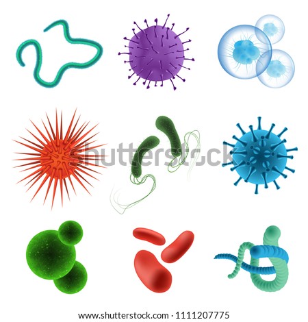 Realistic microbes and bacteria. True to life microorganisms and bacterium causing disease or fermentation. Vector illustration on white background