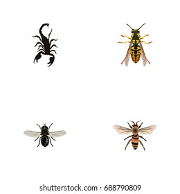 Realistic Midge, Bee, Wasp And Other Vector Elements. Set Of Bug Realistic Symbols Also Includes Insect, Scorpion, Housefly Objects.