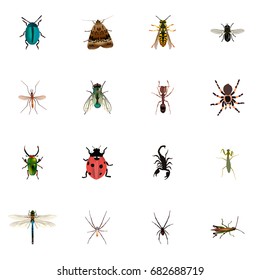 Realistic Midge, Grasshopper, Locust And Other Vector Elements. Set Of Bug Realistic Symbols Also Includes Spider, Scorpion, Wisp Objects.