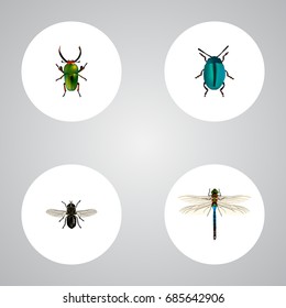 Realistic Midge, Insect, Damselfly And Other Vector Elements. Set Of Insect Realistic Symbols Also Includes Insect, Midge, Dor Objects.