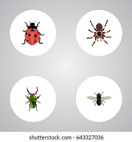 Realistic Midge, Insect, Tarantula And Other Vector Elements. Set Of Bug Realistic Symbols Also Includes Gnat, Midge, Green Objects.