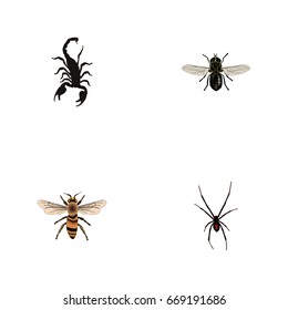 Realistic Midge, Spinner, Poisonous And Other Vector Elements. Set Of Bug Realistic Symbols Also Includes Scorpion, Arachnid, Midge Objects.