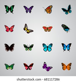 Realistic Milkweed, Beauty Fly, Polyommatus Icarus And Other Vector Elements. Set Of Butterfly Realistic Symbols Also Includes Fly, Hypolimnas, Monarch Objects.