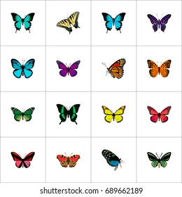 Realistic Milkweed, Checkerspot, Danaus Plexippus And Other Vector Elements. Set Of Butterfly Realistic Symbols Also Includes Blue, Tiger, Malachite Objects.