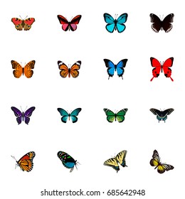 Realistic Milkweed, Danaus Plexippus, American Painted Lady And Other Vector Elements. Set Of Beauty Realistic Symbols Also Includes Cynosura, Yellow, Tiger Objects.