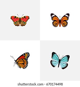 Realistic Milkweed, Lexias, American Painted Lady And Other Vector Elements. Set Of Beauty Realistic Symbols Also Includes Butterfly, Brown, American Objects.