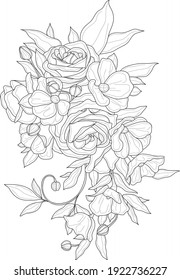 Realistic mix flower bouquet with anemone, rose flowers and leafs sketch template. Cartoon vector illustration in black and white for game, background, pattern, decor. Coloring paper, page, story book