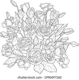 Realistic mix flower bouquet with anemone, rose flowers and leafs sketch template. Cartoon vector illustration in black and white for game, background, pattern, decor. Coloring paper, page, story book