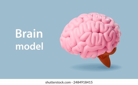 Realistic model of brain. 3D pink human cerebrum icon. Intelligence, mind, mentality illustration. Realistic vector scientist poster