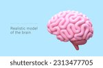 Realistic model of brain, outside view. 3D pink human cerebrum in cartoon style. Banner for medical applications, educational sites. Poster with place for text