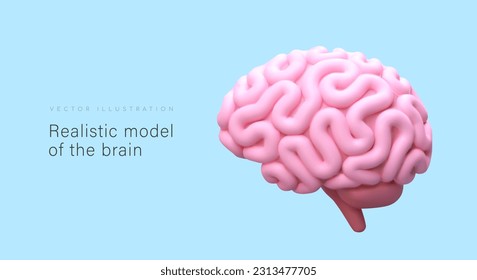 Modelo realista del cerebro, visión externa. cerebras humanas rosadas 3D al estilo de las caricaturas. Cartel para aplicaciones médicas, sitios educativos. Cartel con lugar para el texto