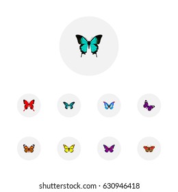 Realistic Monarch, Archippus, Sangaris And Other Vector Elements. Set Of Butterfly Realistic Symbols Also Includes Orange, Brown, Butterfly Objects.