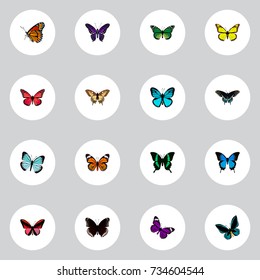 Realistic Monarch, Beauty Fly, Callicore Cynosura And Other Vector Elements. Set Of Beauty Realistic Symbols Also Includes Black, Yellow, Green Objects.